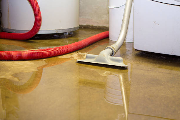 Best Commercial water damage restoration  in Winston Salem, NC