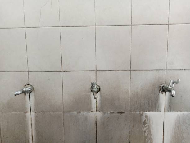 Best Professional water damage repair  in Winston Salem, NC
