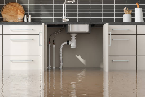 Best Professional water damage repair  in Winston Salem, NC