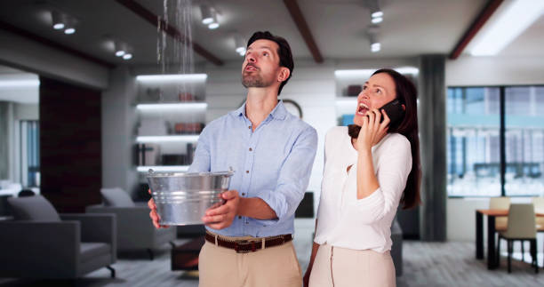 Best Water damage contractors near me  in Winston Salem, NC