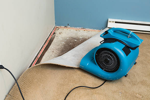 Best Residential water damage restoration  in Winston Salem, NC